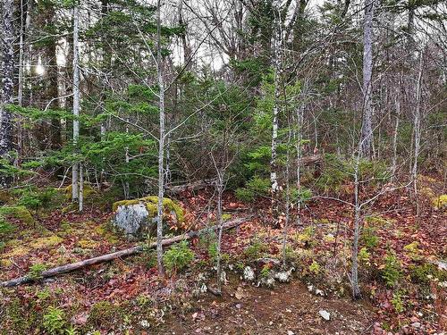 Lot 5 Nathan Croft Road, Camperdown, NS 