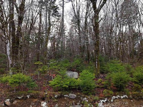 Lot 5 Nathan Croft Road, Camperdown, NS 
