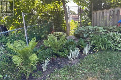 Beautiful perrenial gardens - 3 Marwendy Drive, Barrie, ON - Outdoor