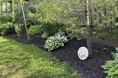 3 Marwendy Drive, Barrie, ON - Outdoor