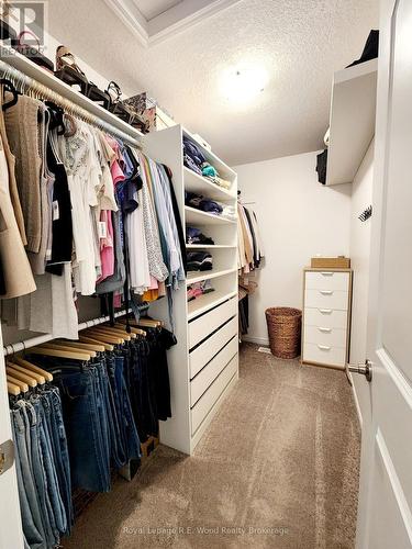 93 Cactus Crescent, Hamilton (Stoney Creek Mountain), ON - Indoor With Storage