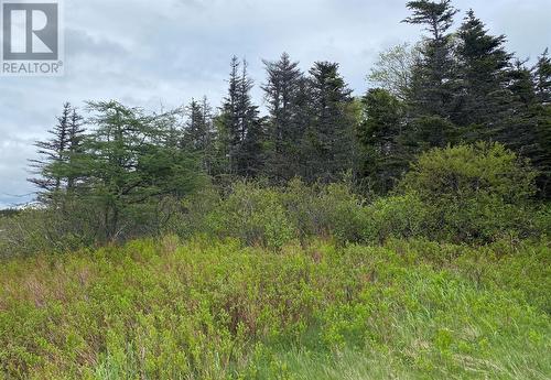 67 Cameron Place, Pouch Cove, NL 