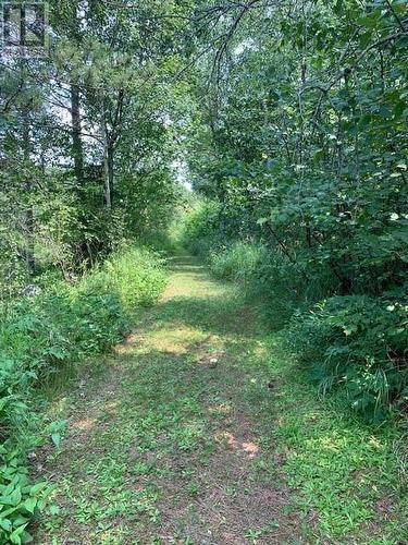 273 Dryden, Sudbury, ON - Outdoor