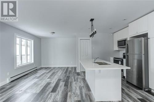 1209 Howey Drive Unit# 4, Sudbury, ON - Indoor Photo Showing Kitchen With Stainless Steel Kitchen With Double Sink