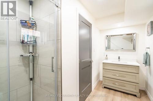 16 Whiting Drive, Brant, ON - Indoor Photo Showing Bathroom
