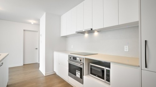 Kitchen - 2305-1160 Rue Mackay, Montréal (Ville-Marie), QC - Indoor Photo Showing Kitchen