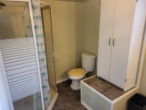 Salle de bains - 19 Rue Potvin, Saint-Jacques-Le-Mineur, QC - Indoor Photo Showing Bathroom