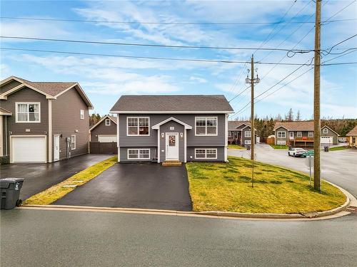 15 Valley Brook Place, Conception Bay South, NL 