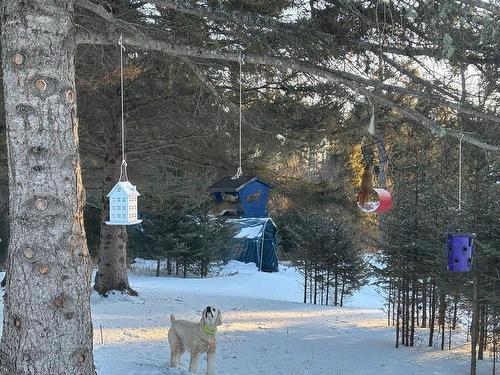 0 Hwy 608, Gillies, ON 