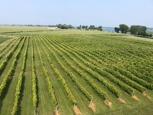 Photo aérienne - 96Z Ch. De La Chapelle, Saint-Sulpice, QC - Outdoor With View