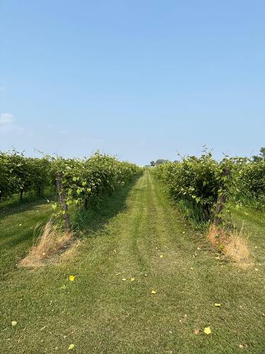 Vue - 96Z Ch. De La Chapelle, Saint-Sulpice, QC - Outdoor With View