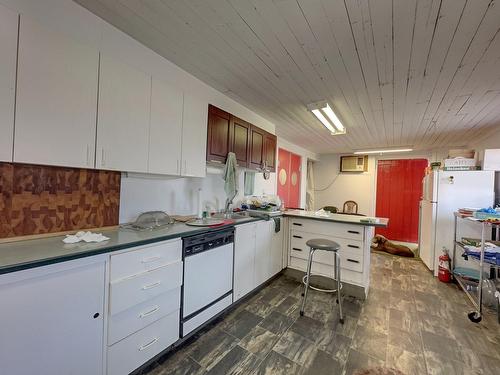 Cuisine - 96Z Ch. De La Chapelle, Saint-Sulpice, QC - Indoor Photo Showing Kitchen