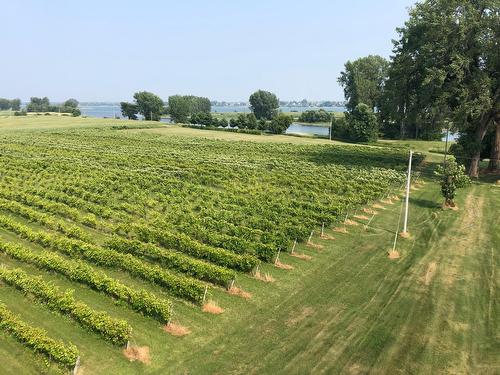 Photo aérienne - 96Z Ch. De La Chapelle, Saint-Sulpice, QC - Outdoor With View