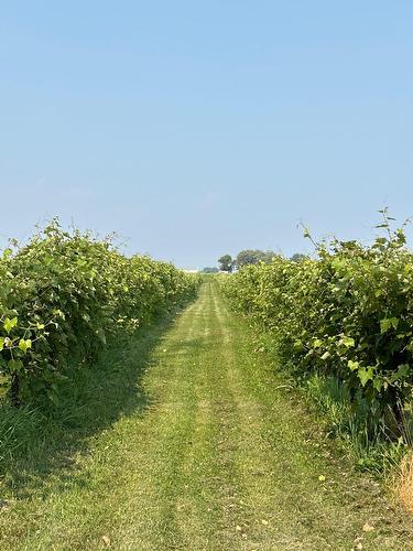 Vue - 96Z Ch. De La Chapelle, Saint-Sulpice, QC - Outdoor With View