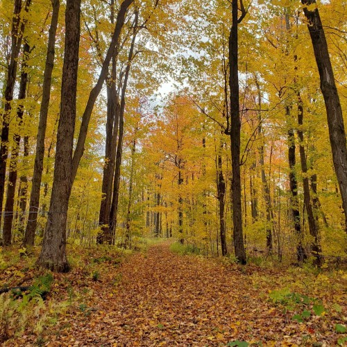 Autre - 7100Z 7E Rang, Drummondville, QC 