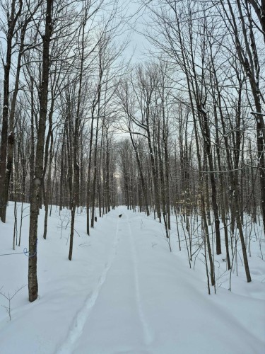 Autre - 7100Z 7E Rang, Drummondville, QC 