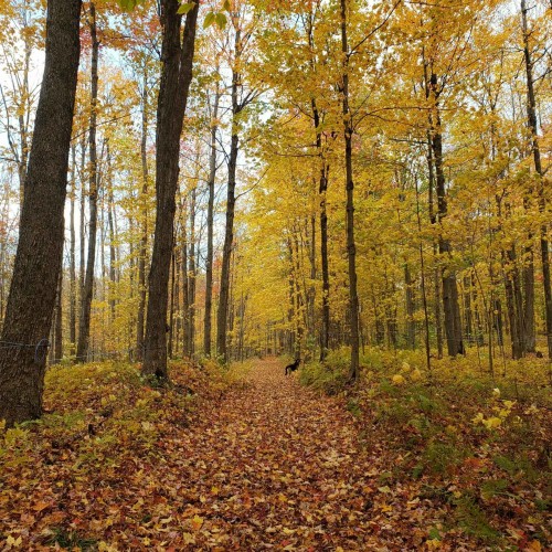 Autre - 7100Z 7E Rang, Drummondville, QC 