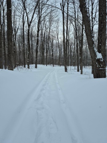 Autre - 7100Z 7E Rang, Drummondville, QC 