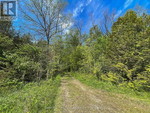 Acres of bush! - 78240 Parr Line, Central Huron (Goderich), ON - Outdoor With View