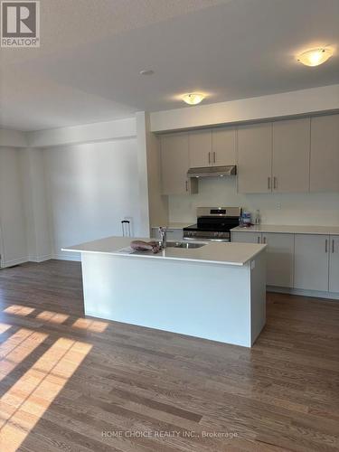 1474 Periwinkle Place, Milton, ON - Indoor Photo Showing Kitchen With Double Sink