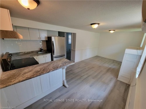 Lower-98 West Avenue N, Hamilton, ON 