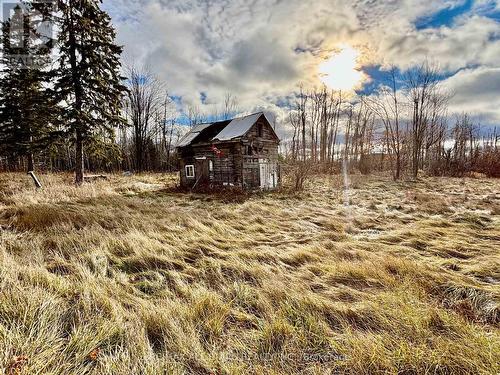 796 Portage Road, Kawartha Lakes, ON 