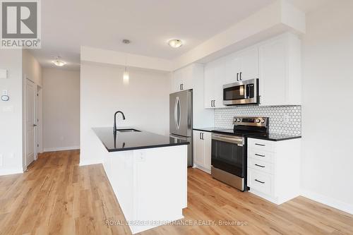 1220 Flycatcher Private, Ottawa, ON - Indoor Photo Showing Kitchen