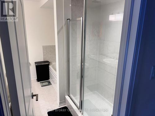 37 George Brier Drive W, Brant (Paris), ON - Indoor Photo Showing Bathroom