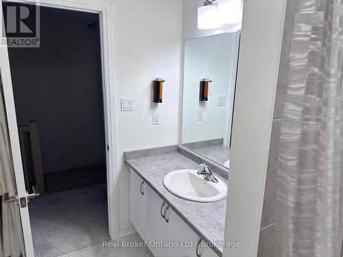 37 George Brier Drive W, Brant (Paris), ON - Indoor Photo Showing Bathroom