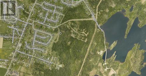 36 Griffins Lane, St. John'S, NL 