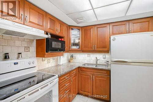 203 - 249 Major Mackenzie Drive E, Richmond Hill, ON - Indoor Photo Showing Kitchen With Double Sink