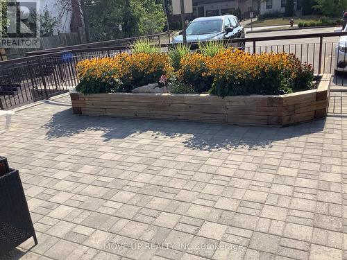 203 - 249 Major Mackenzie Drive E, Richmond Hill, ON - Outdoor With Deck Patio Veranda