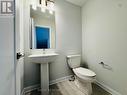 312 Clearpath Private, Ottawa, ON  - Indoor Photo Showing Bathroom 