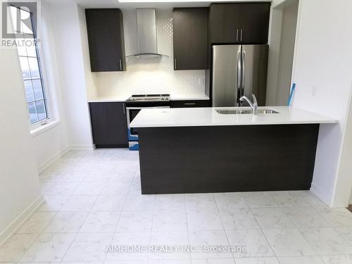 167 Harding Park Street, Newmarket, ON - Indoor Photo Showing Kitchen With Double Sink