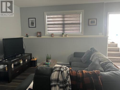 16 Cedar Lane, Springdale, NL - Indoor Photo Showing Living Room