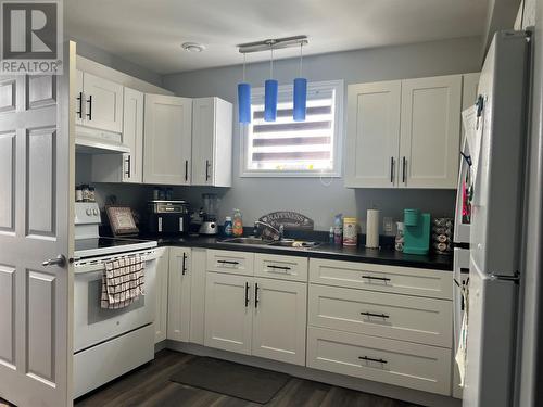 16 Cedar Lane, Springdale, NL - Indoor Photo Showing Kitchen With Double Sink