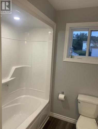 16 Cedar Lane, Springdale, NL - Indoor Photo Showing Bathroom