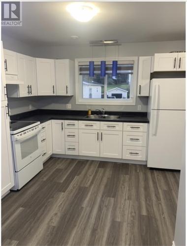 16 Cedar Lane, Springdale, NL - Indoor Photo Showing Kitchen