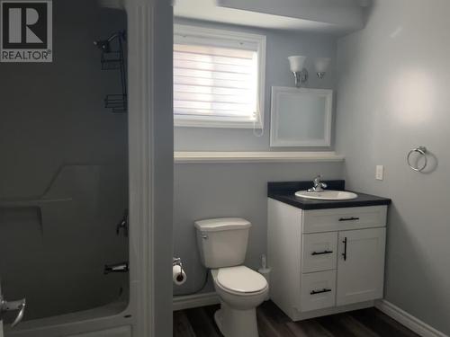 16 Cedar Lane, Springdale, NL - Indoor Photo Showing Bathroom
