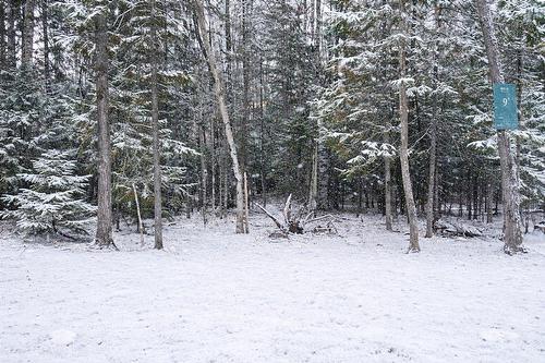 Terre/Terrain - Ch. Des Marcheurs, Saint-Sauveur, QC 