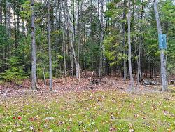 Ch. des Marcheurs  Saint-Sauveur, QC J0R 1R2