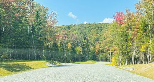 Rue - Ch. Des Marcheurs, Saint-Sauveur, QC 