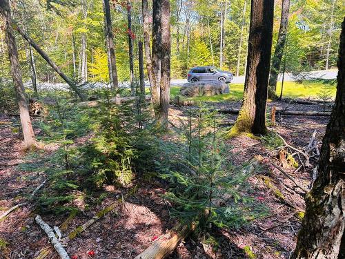 Terre/Terrain - Ch. Des Marcheurs, Saint-Sauveur, QC 