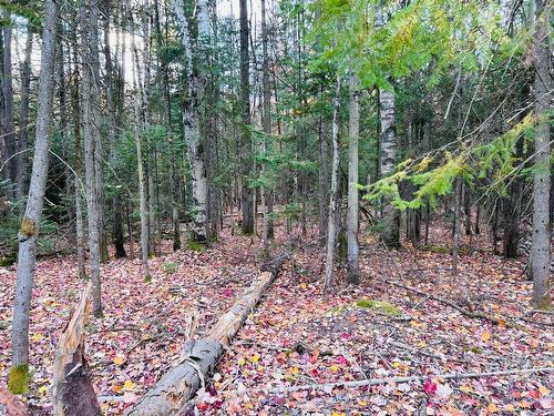 Terre/Terrain - Ch. Des Marcheurs, Saint-Sauveur, QC 