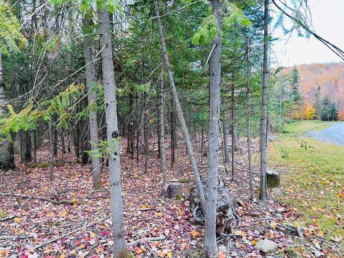 Terre/Terrain - Ch. Des Marcheurs, Saint-Sauveur, QC 