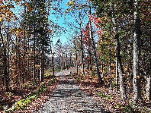 Entrée extérieure - 207 Mtée Du Val-De-Loire, Saint-Adolphe-D'Howard, QC - Outdoor With View