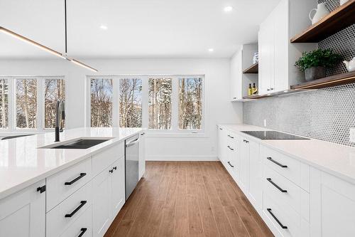 Cuisine - 207 Mtée Du Val-De-Loire, Saint-Adolphe-D'Howard, QC - Indoor Photo Showing Kitchen With Upgraded Kitchen