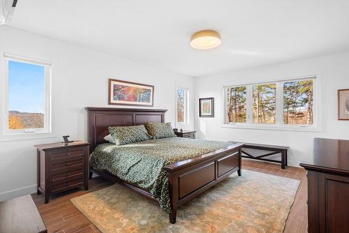 Chambre à coucher principale - 207 Mtée Du Val-De-Loire, Saint-Adolphe-D'Howard, QC - Indoor Photo Showing Bedroom