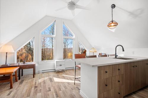 Loft - 207 Mtée Du Val-De-Loire, Saint-Adolphe-D'Howard, QC - Indoor