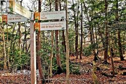 Trails across the street - 